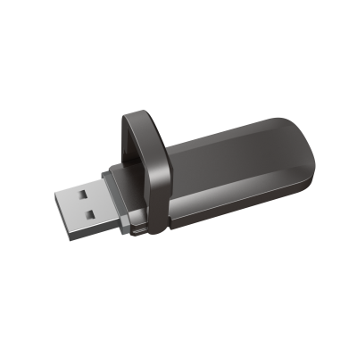 Solid State USB Disk (S806-32-512GB)