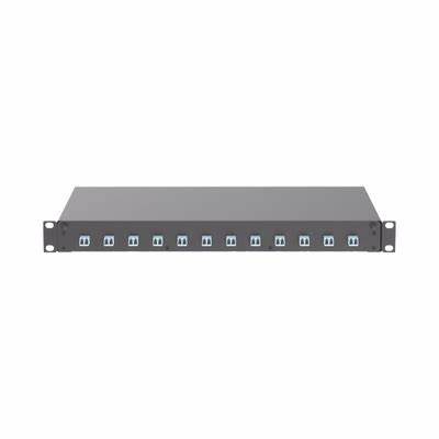 Panduit/12 Port Fiber Optical Panel loaded with LC