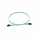 Panduit/Fiber OM3 1.6mmJacket Catch Cord