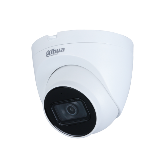 5MP/LiteIR/Fixed-Focal Eyeball/Network Camera/IP/BIM/Indoor