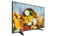 HikVision/42.5-inch FHD Monitor/43''