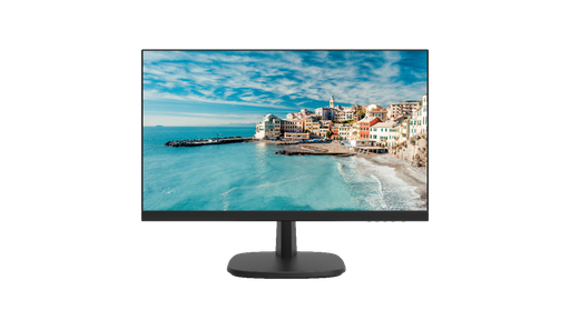 [DS-D5024FN-B] HikVision/23.8 inch FHD Borderless Monitor