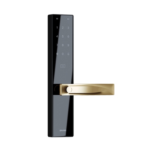 [S2/B] ORVIBO/WiFi Smart Door Lock/S2/Black Handle
