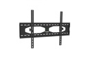 Star Gold/LED TV Wall Mount