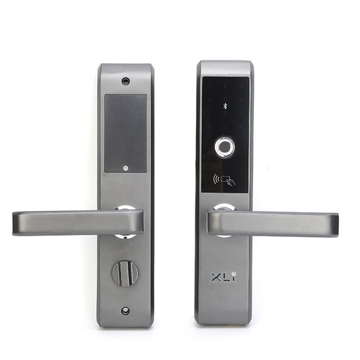 [X2 TUYA Silvery] TUYA/Digital Wifi Anti Theft Door lock(Silver)