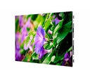 LED Panel/(2x1.8m)/P1.6